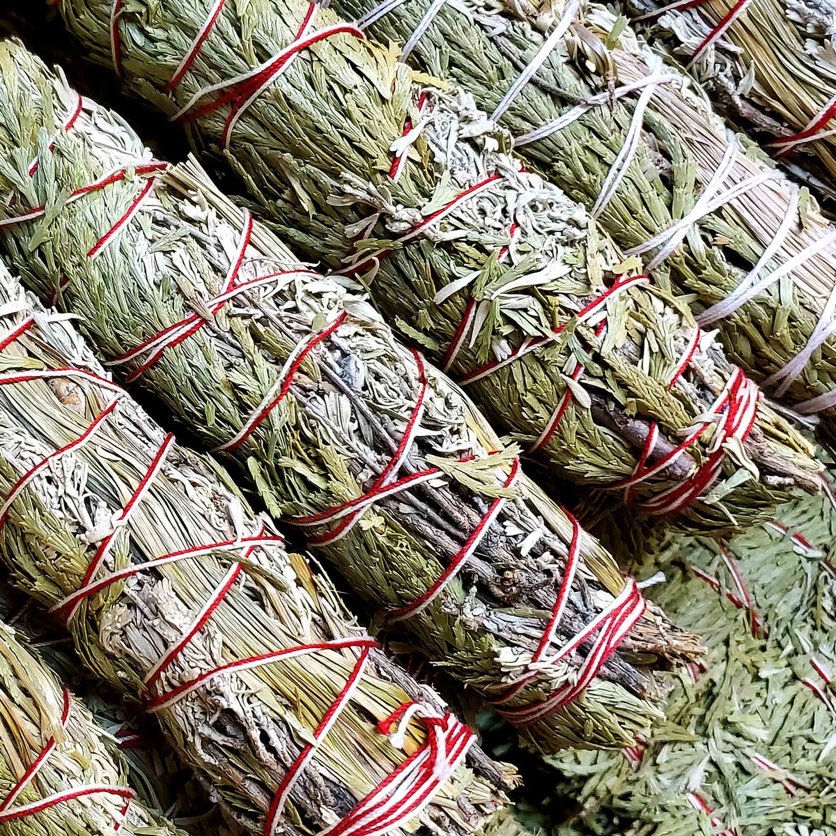 Green herb smudge bundles tied with red and white string