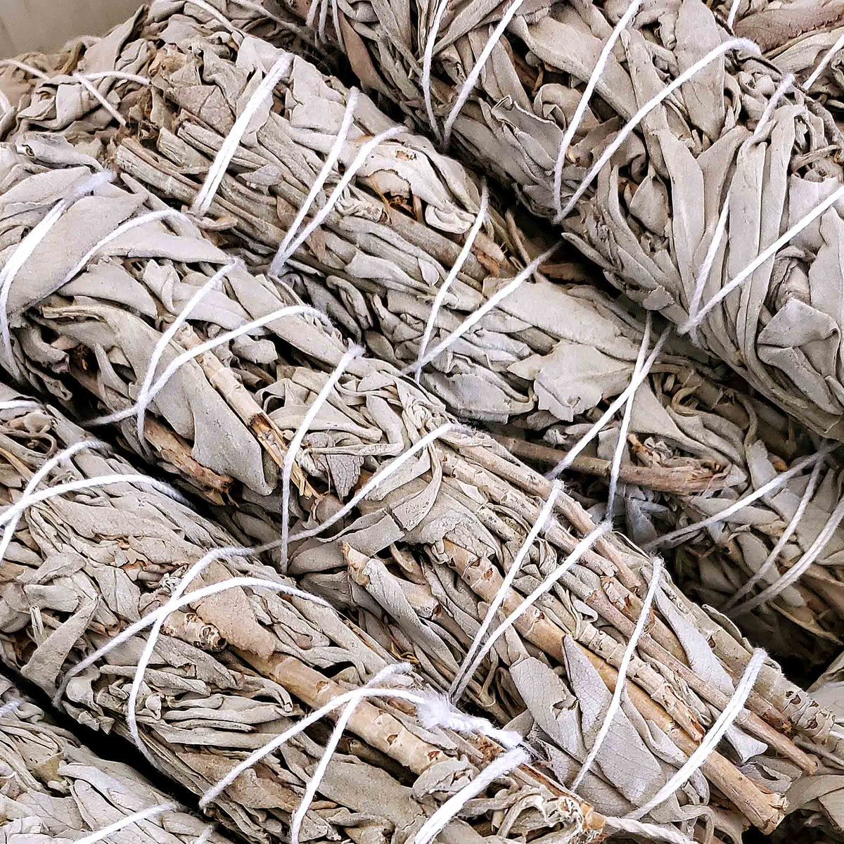 White sage smudge bundles tied with white string, viewed from above