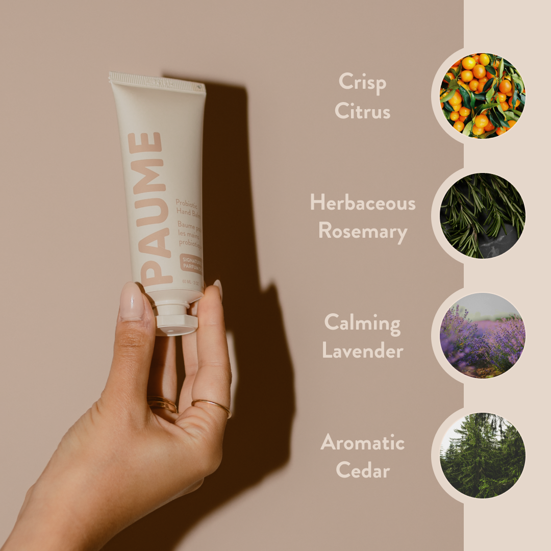 Hand holding a PAUME PAUME Hand Balm with scents listed on a beige background