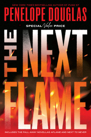 The Next Flame book cover