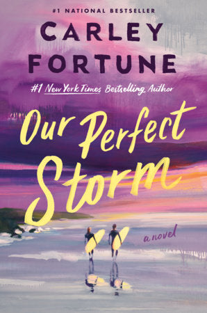 Our Perfect Storm book cover