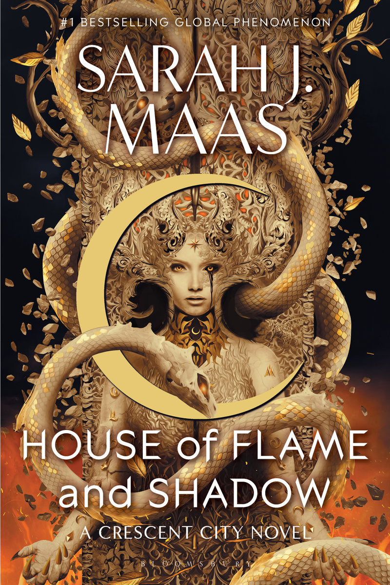 House of Flame and Shadow cover