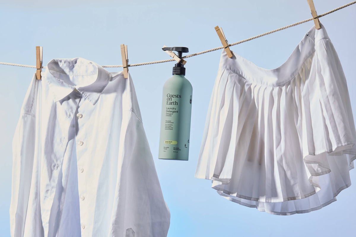 Guests on Earth laundry detergent bottle hanging beside white shirts on a clothesline.