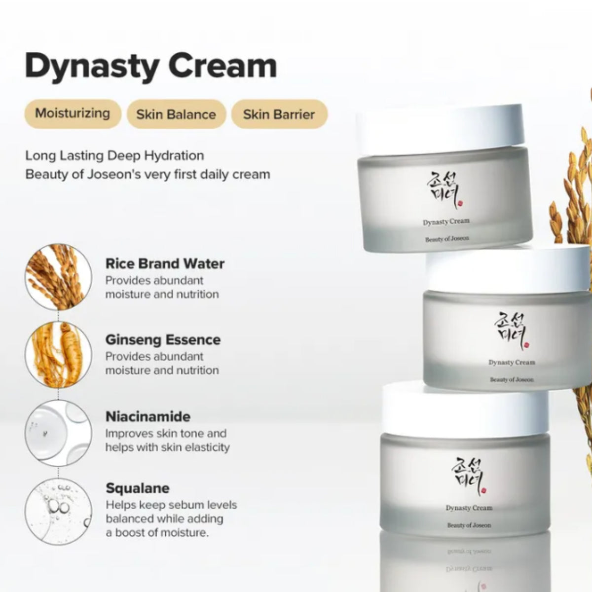 Dynasty Cream by Beauty of Joseon shown in three white jars on a light gray background, with text describing moisturizing, skin balance, and skin barrier benefits, plus ingredient callouts including rice brand water, ginseng essence, niacinamide, and squalane.
