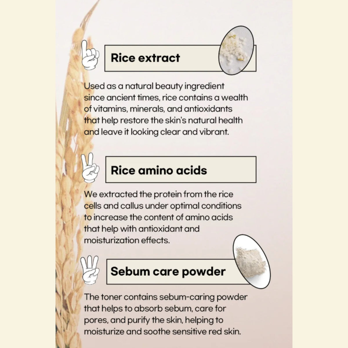 Beauty of Joseon graphic with three text panels about Glow Replenishing Rice Milk ingredients: rice extract, rice amino acids, and sebum care powder. The left side has a large illustration of a rice stalk, and each text block includes a small product photo inset.