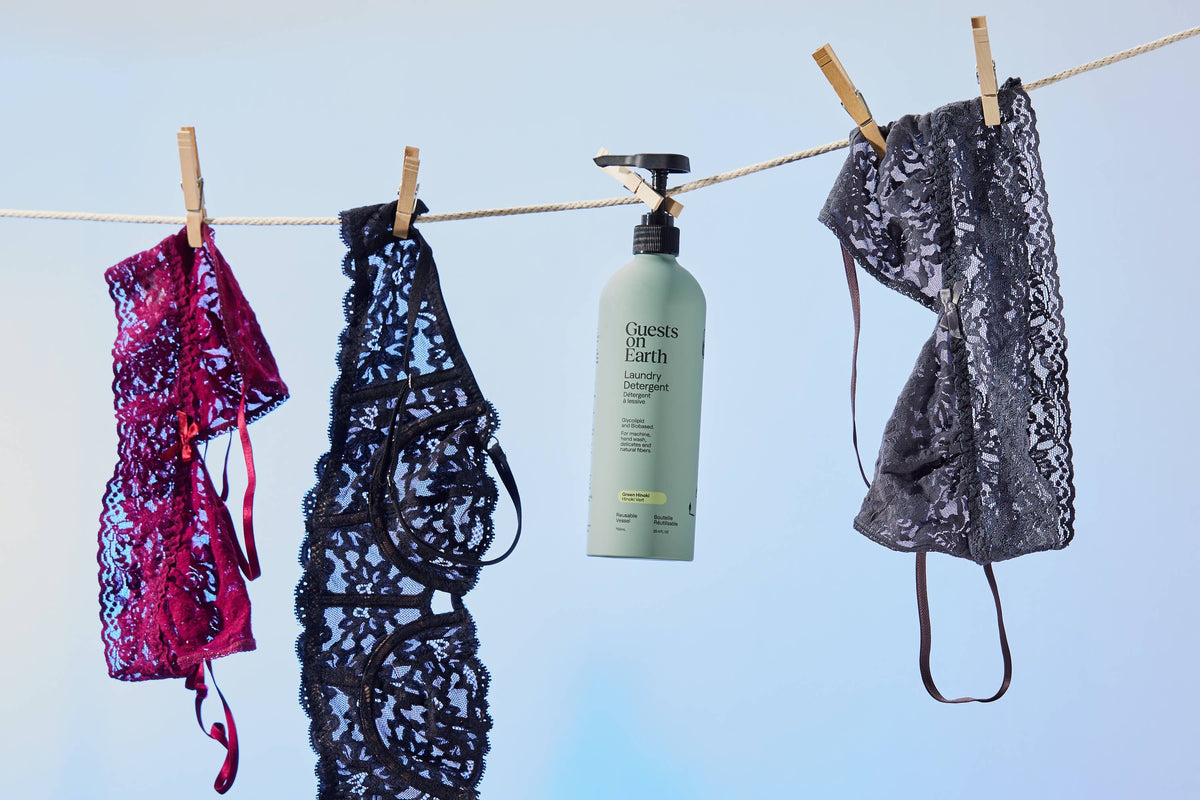 Guests on Earth laundry detergent bottle hanging beside patterned lingerie on a clothesline.