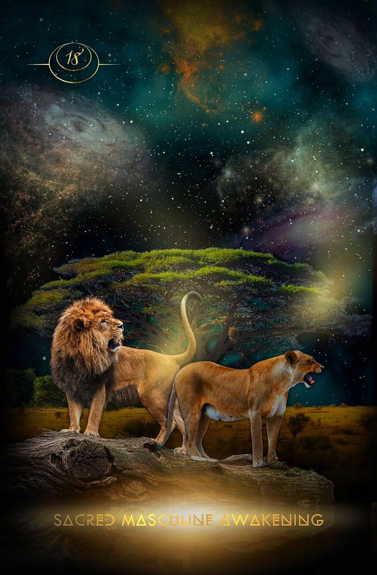 A stylized cosmic scene featuring two lions standing on a rock in front of a glowing tree, with a starry galaxy sky above. The text 'SACRED MASCULINE AWAKENING' appears at the bottom, and a circular emblem with the number 13 is visible near the top left.