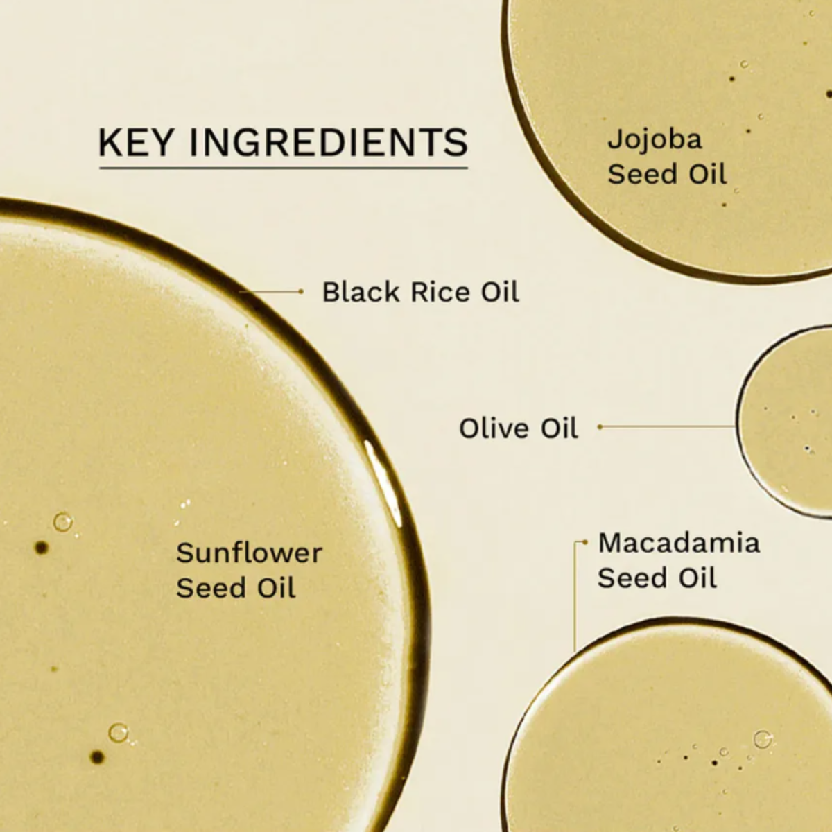 Haruharu Wonder Black Rice Moisture Cleansing Oil key ingredients: Black Rice Oil, Sunflower Seed Oil, Jojoba Seed Oil, Olive Oil, and Macadamia Seed Oil, shown as translucent golden droplets under the heading 'KEY INGREDIENTS'.