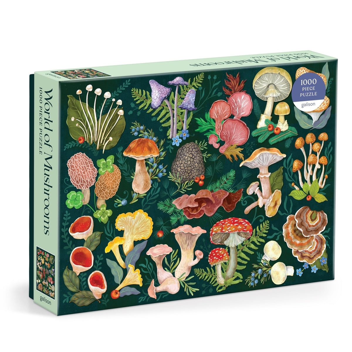 World of Mushrooms 1000-piece puzzle box with colourful illustrated fungi on a dark background